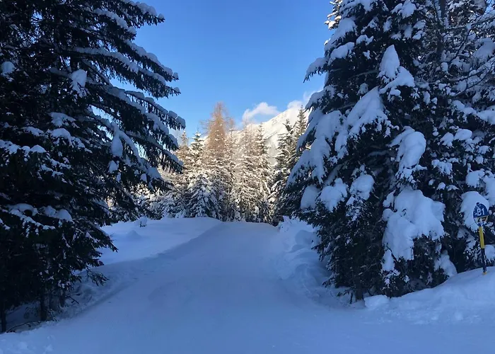 Apartment Grenzberg - Bad Gastein